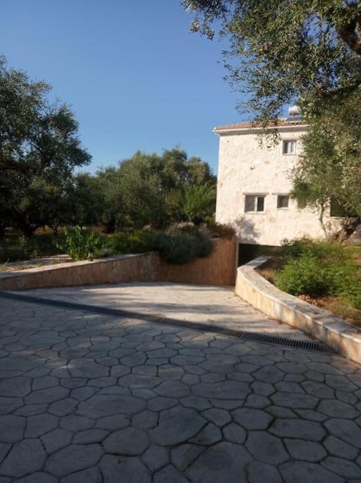 Olive Trees Villa Tragaki Exterior photo